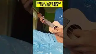 Eagles - Hotel California Ukulele Solo #eagles #hotelcaliforniasolo #ukulele #hotelcalifornia #solo