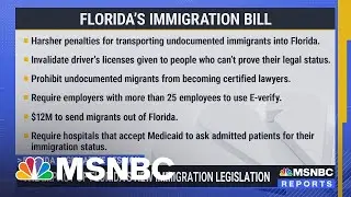 The impact of Florida's new immigration bill