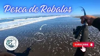 BRUTAL PESCA DE ROBALOS 🎣⚓