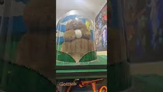 TEED OFF GOTTLIEB PINBALL MACHINE FLIPPER REVIEW CRITIQUE TOPPER (S2069)