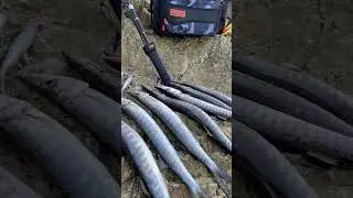 Barak&uuml;da Avı Alanya