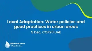 Local Adaptation: water policies and good practices in urban areas