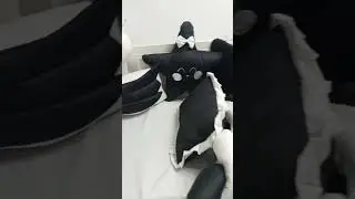 New black n white combo #babycarrynest #babyfurniture #babybed #shortsvideo