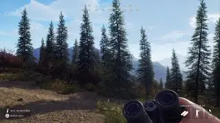 First 5 star sitka deer!