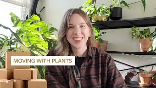 A Cross Country Move, With House Plants!