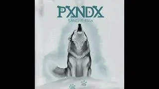 Pxndx - clavel blanco saco sport/cover art (sin derecho de autor de canción) 