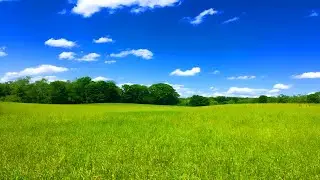 Empty field with blue sky ambience