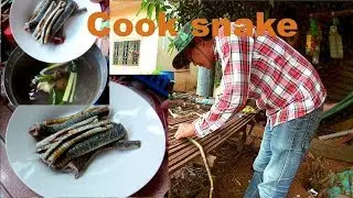 cook snake for my food