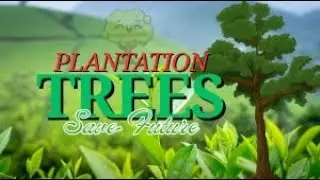 Tree Plantation | Clean & Green Pakistan | Key to reduce climate change | Save Earth | MediaMartPsh