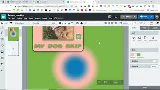Marq/ Lucidpress - Buttons and Videos
