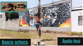 Águila Real| Danza Azteca