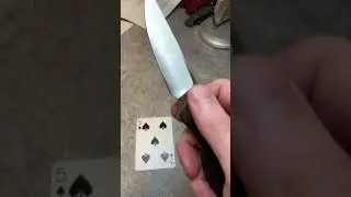 Giant Mouse Ace Sonoma - Solid EDC option