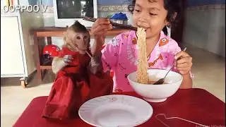 Wow  Lovely Baby Monkey Janny Joining eat breakfast with sister  and brother