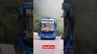 NAMASTE VIP Sofa A/C Bus Ride | Kathmandu to Kakarvitta 🚌✨#feedshorts #youtubesearch #channelpages