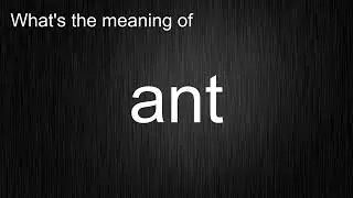 What's the meaning of 