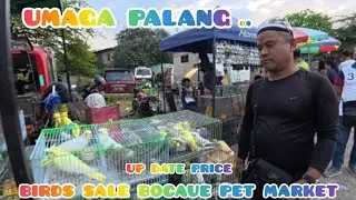 ep#144 up date price birds sale bocaue pet market. umaga palang...