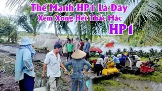 24/9 Thế Mạnh HP1 Ở Tại Video Này √ Xem Xong Hết Thắc Mắc #ngườicàmau 