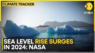 NASA Analysis Shows Unexpected Amount Of Sea Level Rise In 2024 | WION Climate Tracker