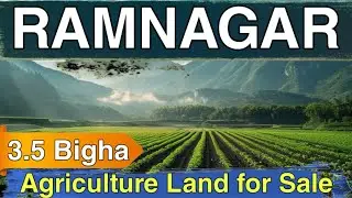 3.5 Bigha Agriculture Land Available for Sale in Corbett Range Ramnagar Nainital Uttarakhand