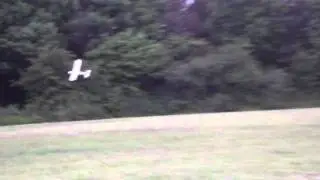 Rc Airshow Washington UK ( Funny commentary )