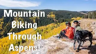 Biking Through Aspen Trees - Elbert Creek Trail