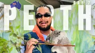 Ep. 11 🇦🇺 Epic Perth Day : Koala Cuddles 🐨 Angry Emus 😰 Sunset Beach Magic 🌊 IQQANVE | VLOG 23 🎬