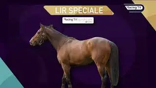 What's next for Racing TV syndicate horse Lir Speciale? (03/08/24)