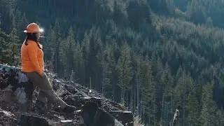 Weyerhaeuser: Creating a Stronger Company