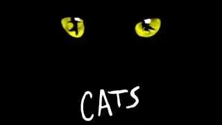 Cats (The Musical) - 17 - Skimbleshanks the railway cat