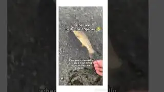 When you accidentally release the fish into the water of instant death #funny #fish #funnyvideo