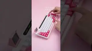 RT65 How to use!#epomaker #epomakerkeyboard #keyboard #techtok #keebtok #keeb