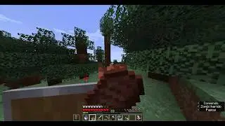 Minecraft Snippets