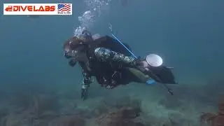 09. Nov 2025. Lobster Hunting, Pompano Beach, Florida