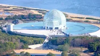 TOKYO SEA LIFE PARK/ Japan Travel Guide