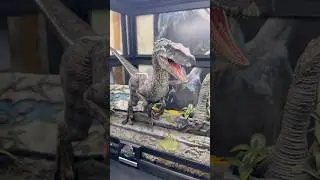 Which Velociraptors do you prefer!? #jurassicworld #dinosaur #jurassicpark #toys