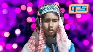 MD TAJRUL ALI SHAH  NEW GOJOL 2019  NAAT SHARIF  SK RAHAMAN  C.T.STUDIO   নাতে রাসুল গজল   গজল 2019