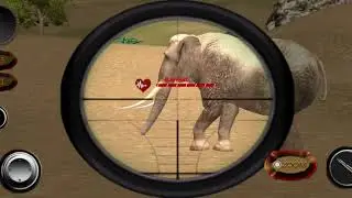 Animal Safari Hunter|Android Game| Hunter Call of the Wild|2020|