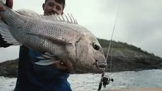 New Okuma Ceymar HD Reel