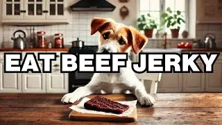 Can Dogs Eat Beef Jerky? Explained