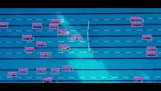 Swimming Training with Cutting-Edge Data Annotation Services | Wisepl | #computervision  | #ai