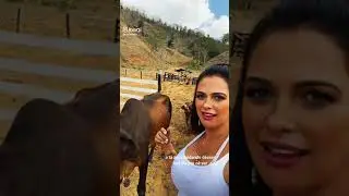 7 de outubro de 2024