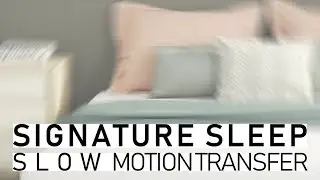 Signature Sleep Mattress Slow Sink Motion Transfer