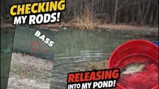 Some nice fish in a fun video #fishing #shorts #shortsviral #plsgoviral #bassfishing #fypシ #best ￼￼