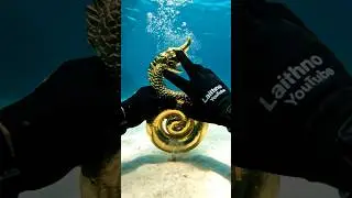POV: I Picked Up Aztec Gold... and Found Death! 🐍🐙☠️