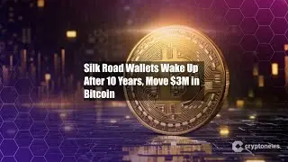 Silk Road Wallets Wake Up After 10 Years, Move $3M in Bitcoin