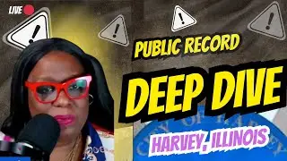Harvey Illinois Public Record Deep Dive | What the PIN Numbers Reveal