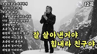 ✨잘 살아낸거야 힘내라 친구야 | 위로와 힘이 되는 노래 | 중년의 마음을 울리는 중년감성 발라드 12곡 모음