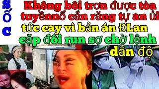 NÓNG TIN TỪ TUYỀN CC TỨC ĐẮNG VÌ TÒA PHÁN ĐLAN QUÁ NHẸ
