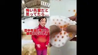 🌈 最高の POV タイム 🌈 スライムストーリータイム TIKTOK🌷 | Tiktok コンピレーション ✨ #Povs #unzip #funny #shorts