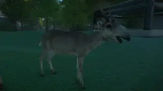 Planet Zoo Eurasia Animal Pack: Saiga